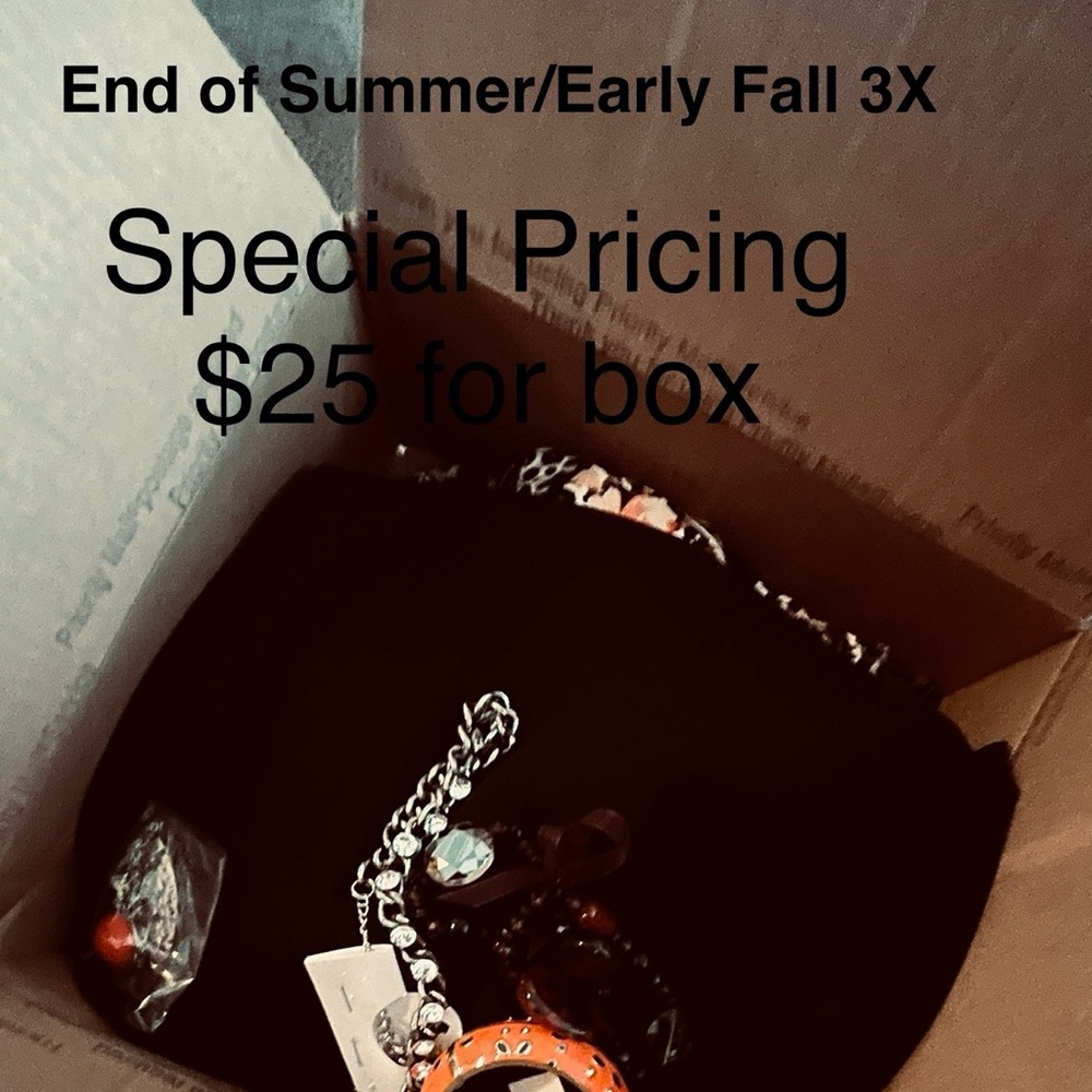 Special Pricing on Box of 3X clothing